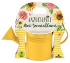 Plantenset voor mini zonnebloemen in gieter