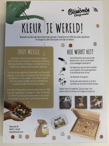 Kaart Nederlandstalig klein